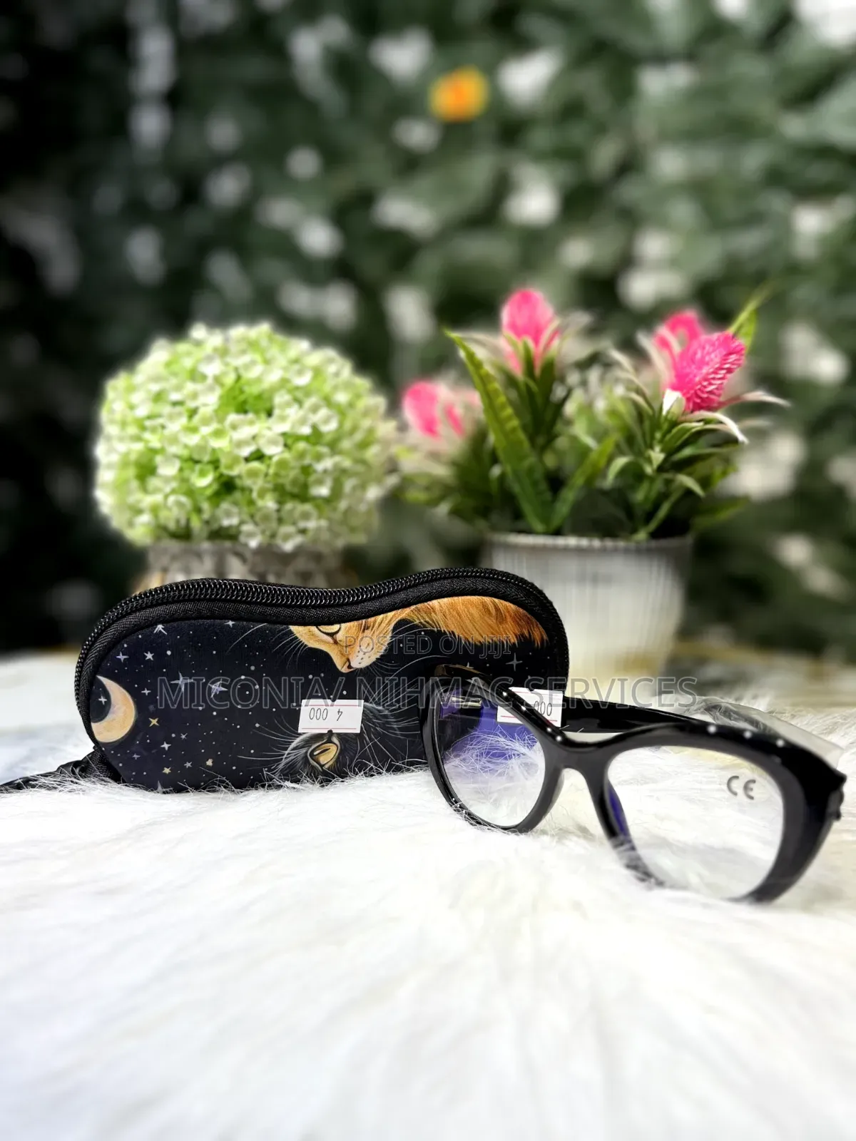 Eyeglasses Case