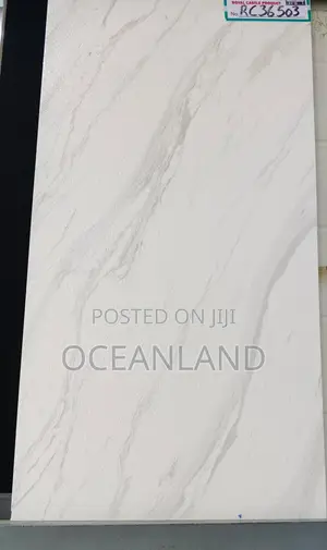 Polished Walls Tiles