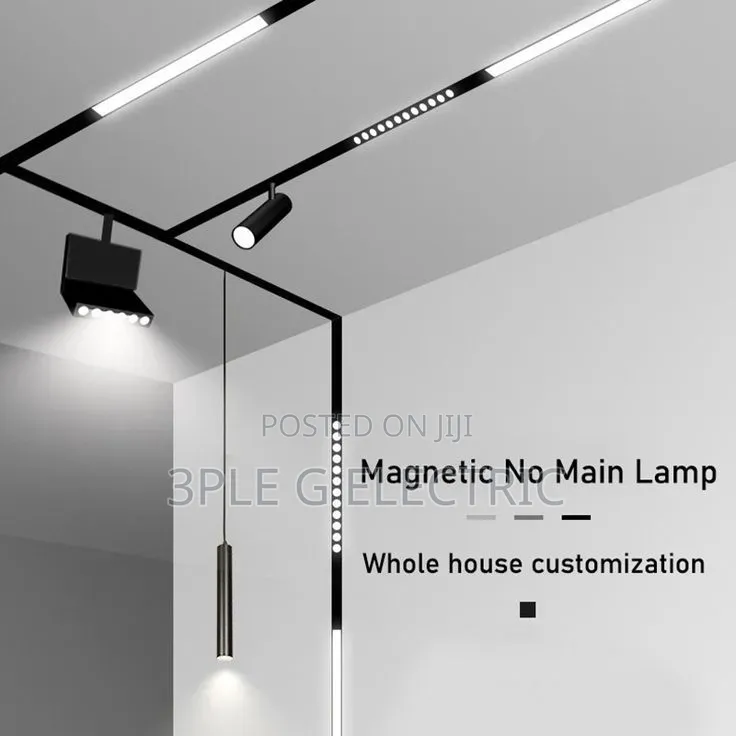Modern Magnetic Track Light for Luxury Interior Decoration