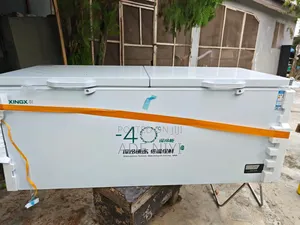 719l Blast Freezer