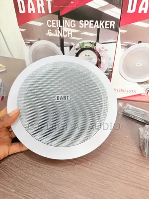 Dart Bluetooth Woofer Ceiling Speakers