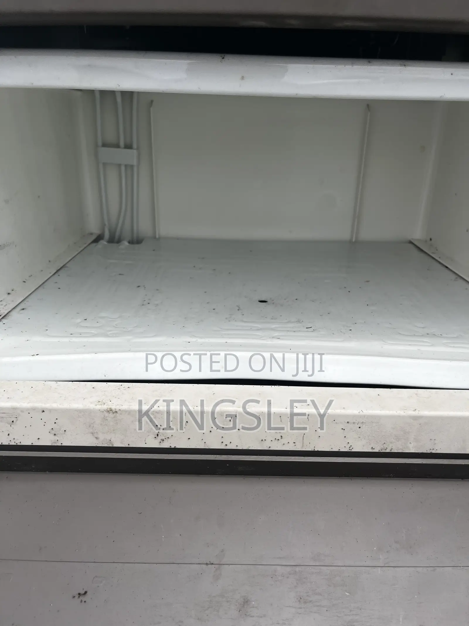 SIEMENS German Standing Freezer