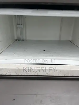 SIEMENS German Standing Freezer