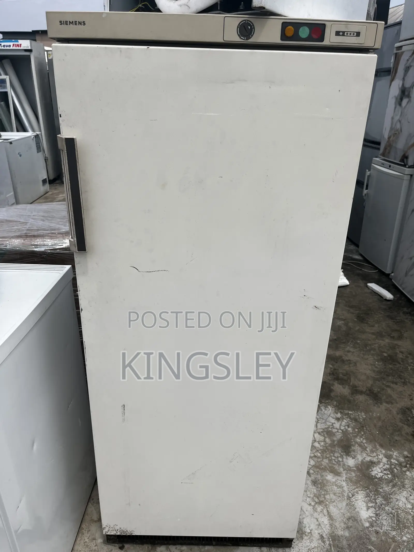 SIEMENS German Standing Freezer
