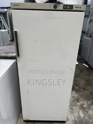 SIEMENS German Standing Freezer