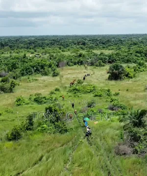 Rice Farmland for Sale in Iworo, Badagry, Lagos. Acres and Hectares