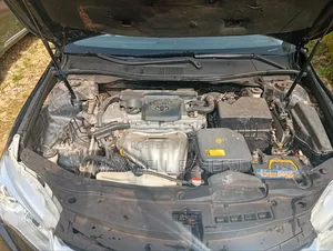 Toyota Camry LE 4dr Sedan (2.5L 4cyl 6A) 2016 Blue