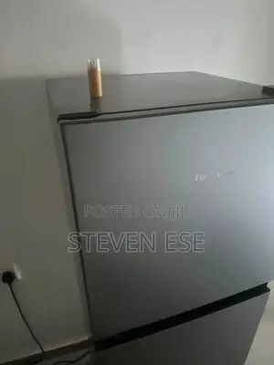 Hisense Standing Fridge