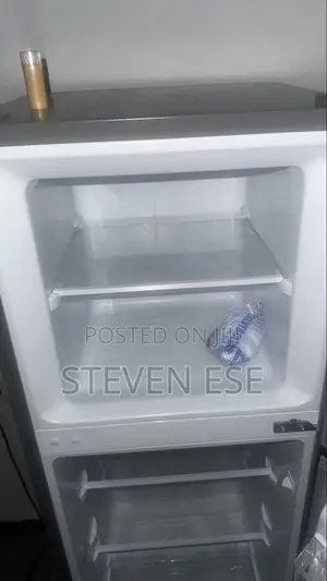 Hisense Standing Fridge