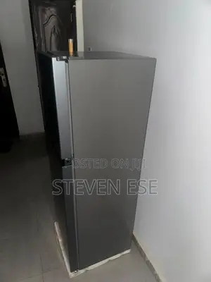 Hisense Standing Fridge