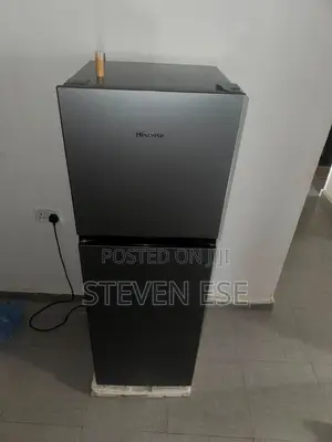 Hisense Standing Fridge