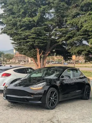 Tesla Model 3 Performance 2020 Black