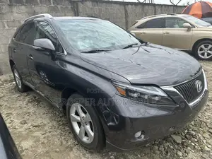 Lexus RX 350 2010 Gray