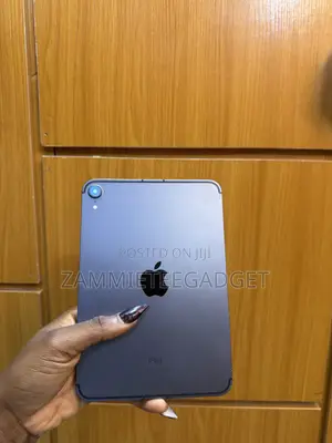 Apple iPad mini 6 64 GB Gray