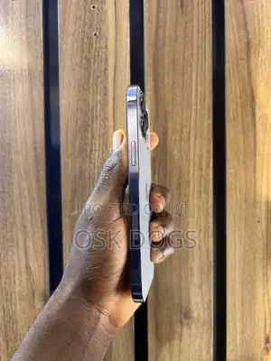 Apple iPhone 13 Pro Max 256 GB Blue