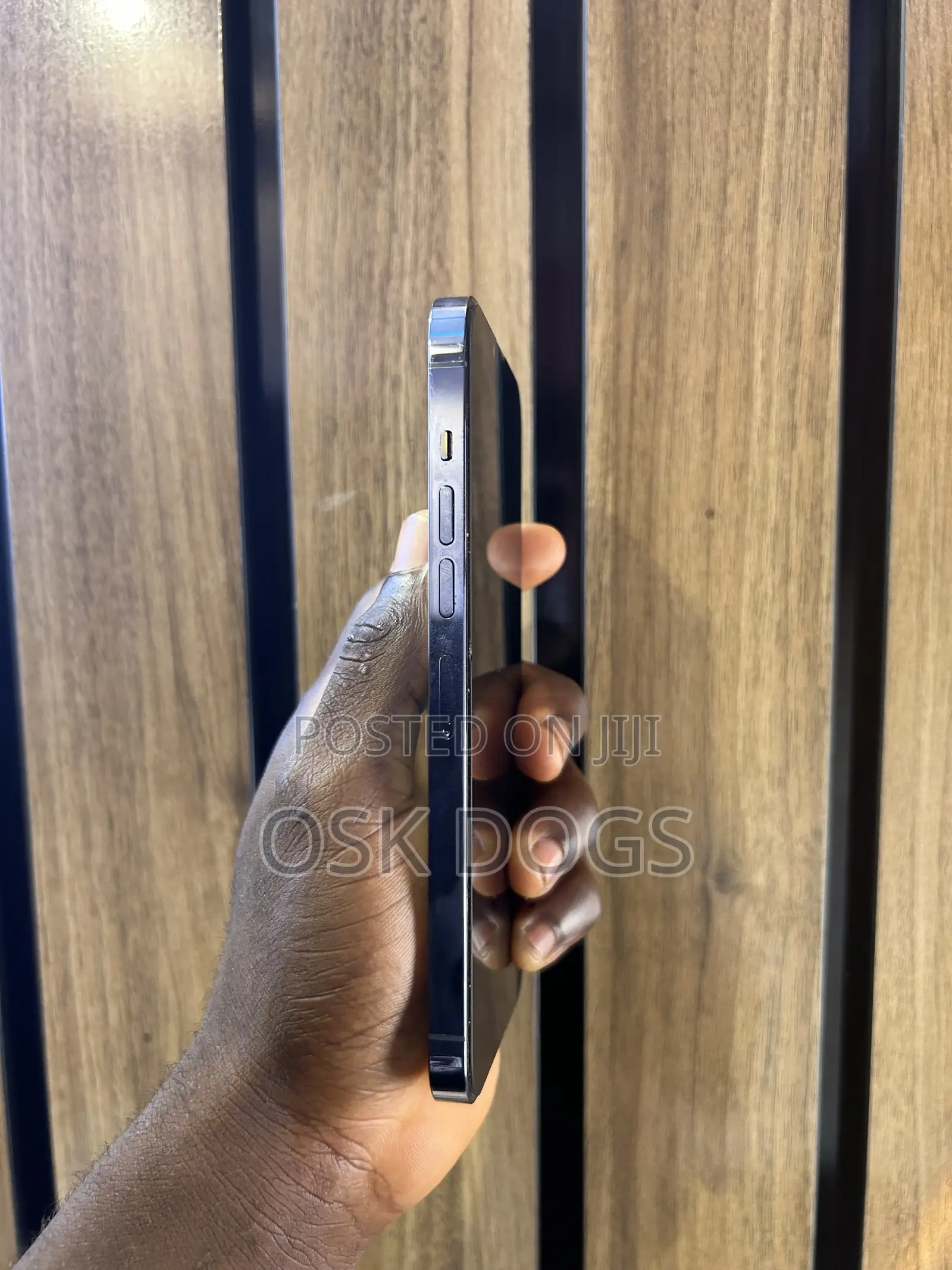 Apple iPhone 13 Pro Max 256 GB Blue
