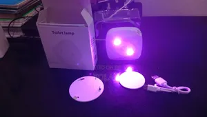 Automatic Toilet Deordorizer
