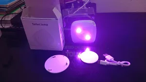 Automatic Toilet Deordorizer