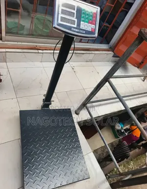 Dino 300kg Digital Platforms School