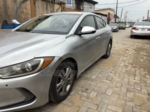 Hyundai Elantra ECO Sedan FWD (1.4L 4cyl 7A) 2017 Silver