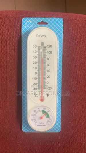 Wall-Mounted Thermometer & Hygrometer – 2-in-1