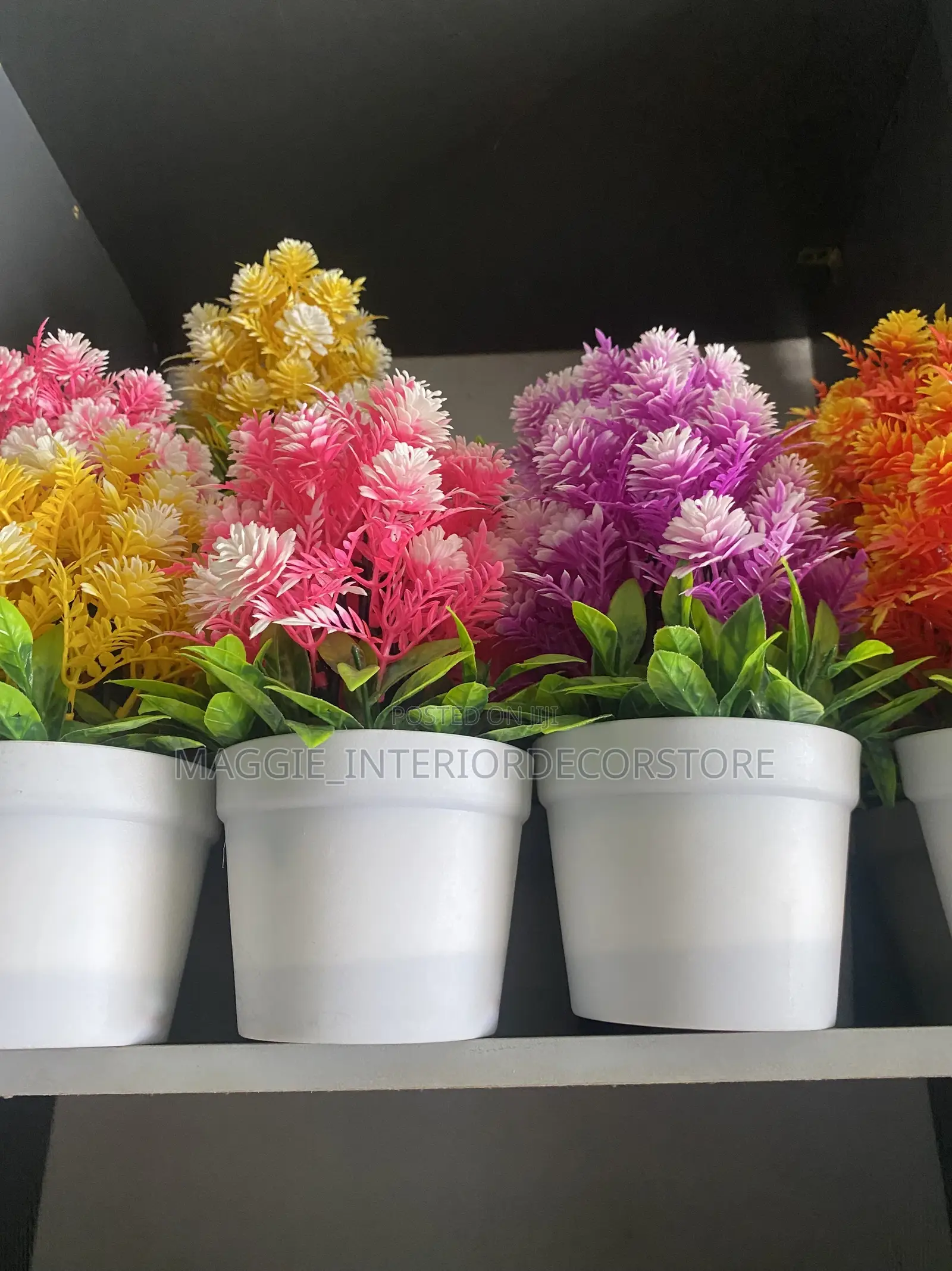 Cup Flowers
