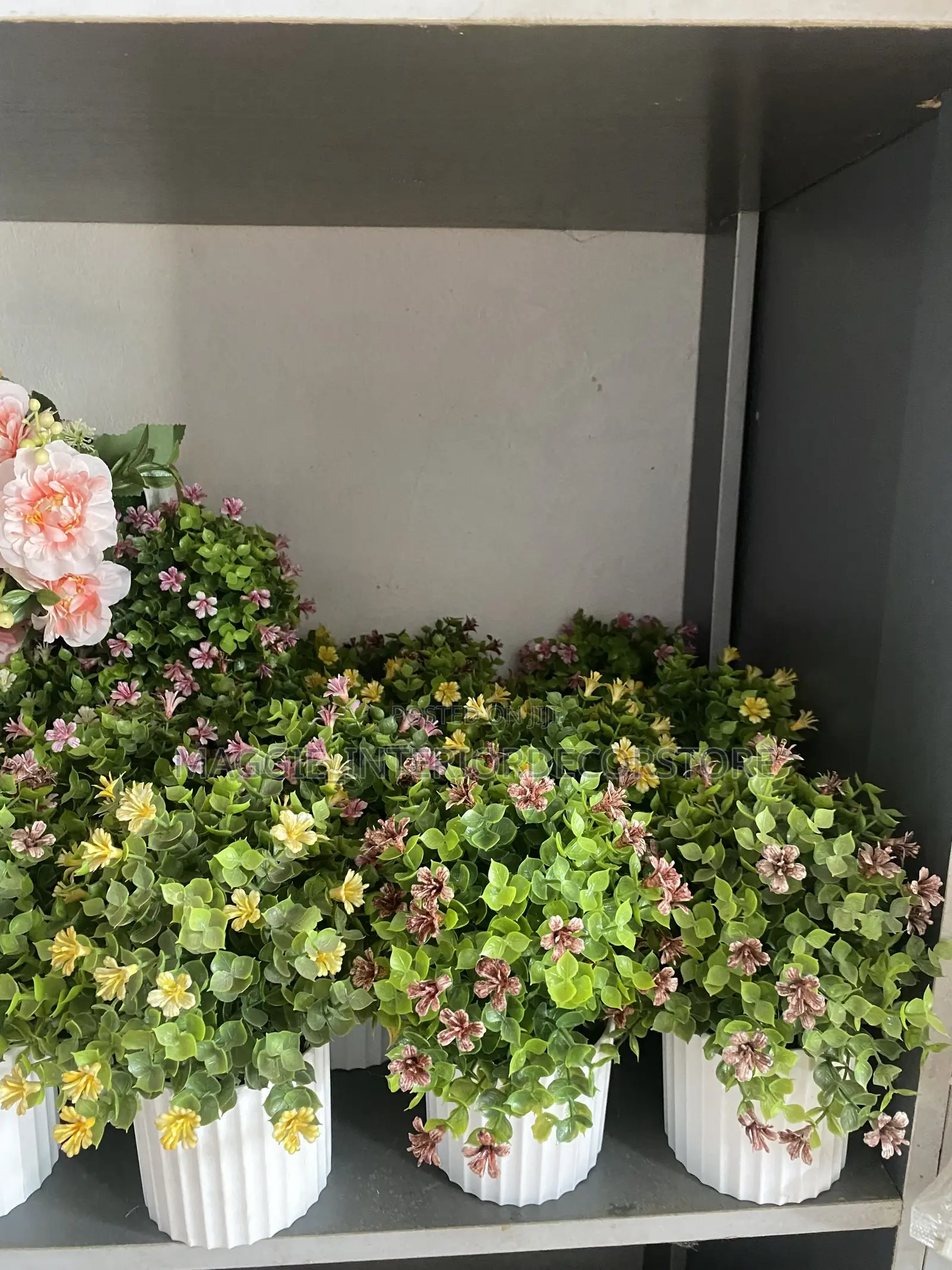 Cup Flowers