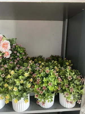 Cup Flowers