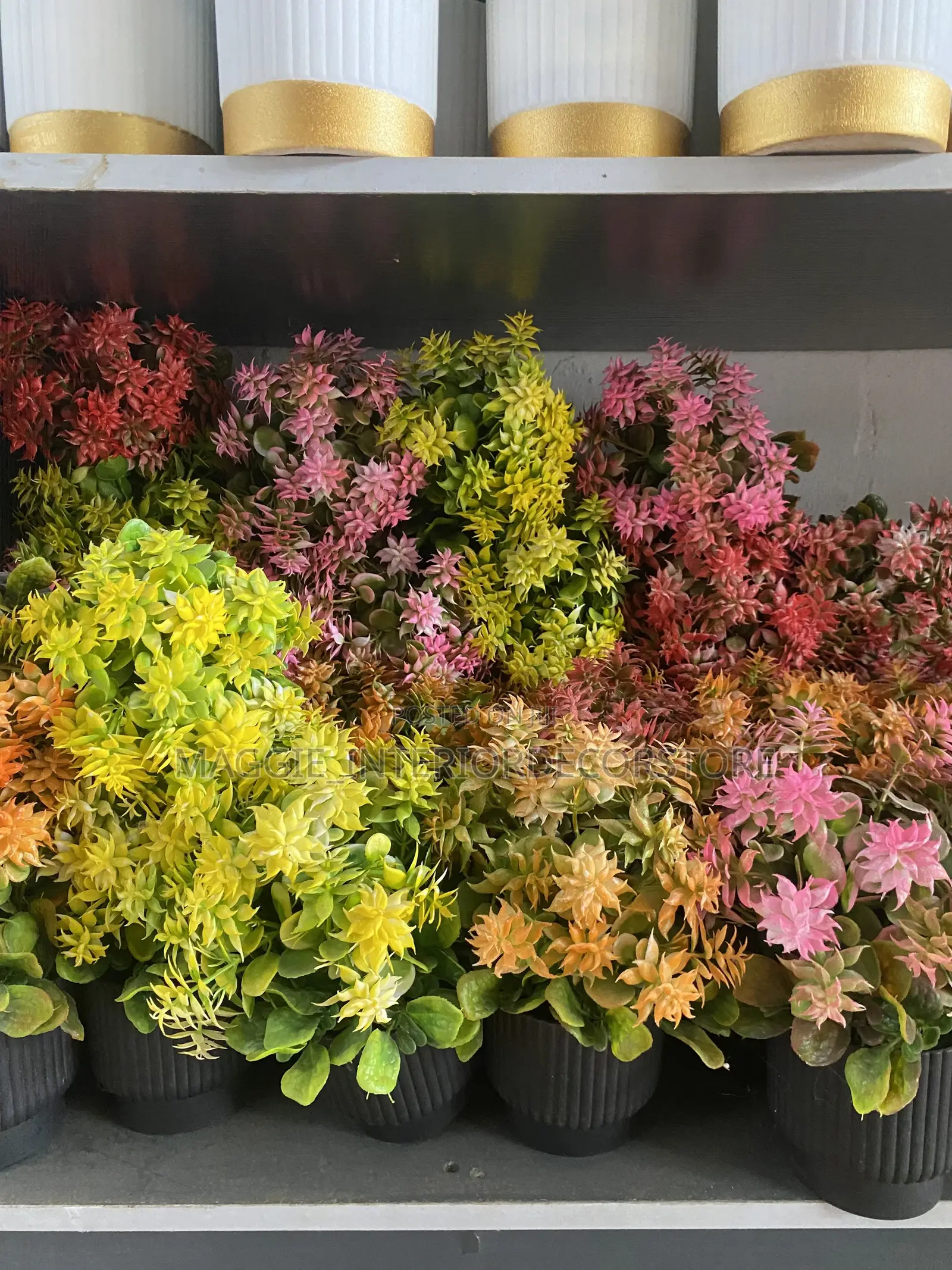 Cup Flowers
