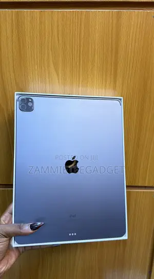 Apple iPad Pro 256 GB Gray