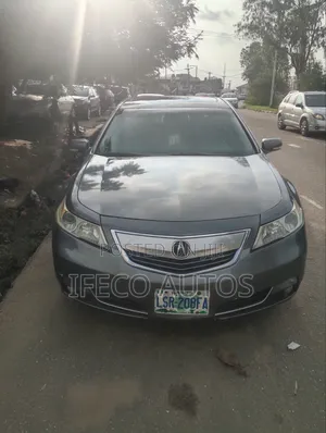 Acura TL 2009 Gray