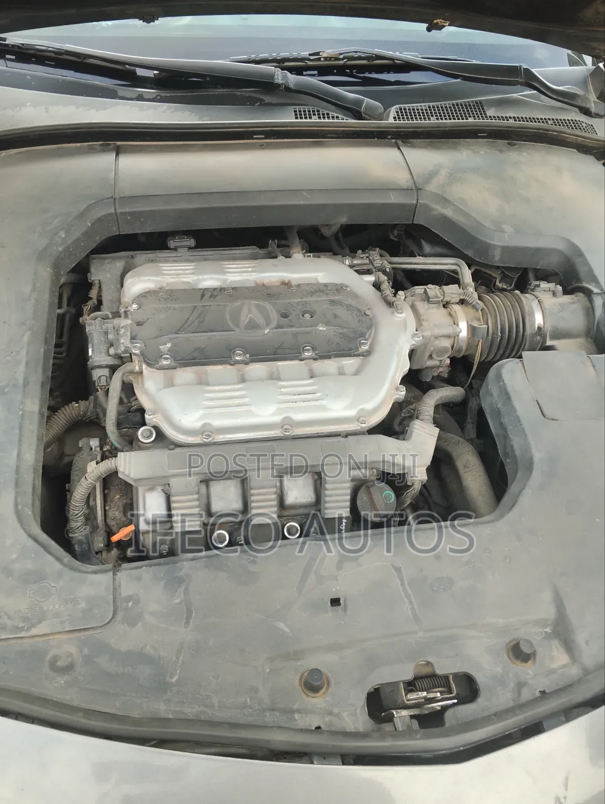 Acura TL 2009 Gray