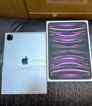 Apple iPad Pro 512 GB Gray