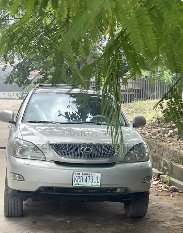 Lexus RX 2004 Gray
