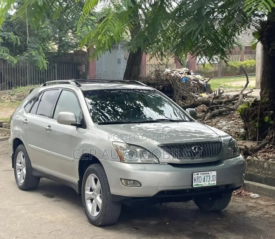 Lexus RX 2004 Gray