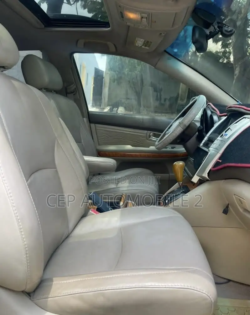 Lexus RX 2004 Gray