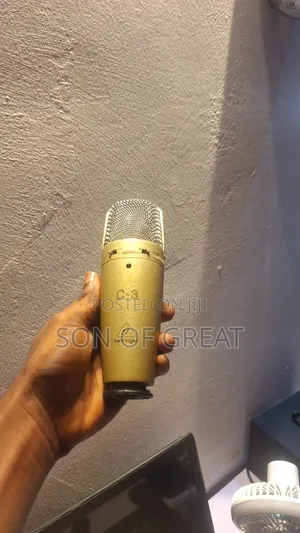 C 3 Condenser Microphone