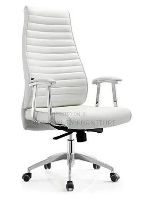 Premium Director Chair
