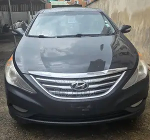 Hyundai Sonata 2013 Gray