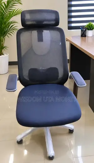 Ergonomic Mesh Executive Office Chair With Headrest