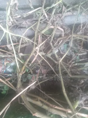 2700 Square Meters Land at Jahi Abuja for Sale