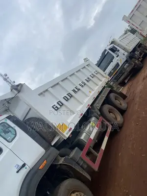 Full 30tons of Sharp Sand