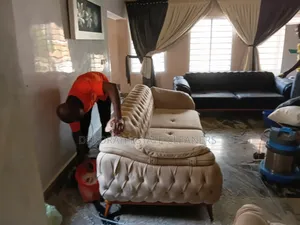 Foreign Furniture Deep Washing