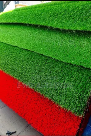 Carpet Grass