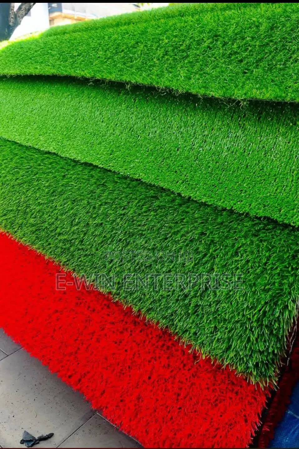 Carpet Grass