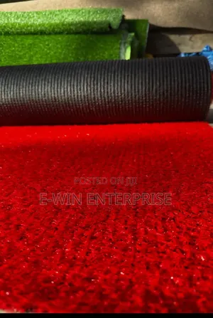 Carpet Grass