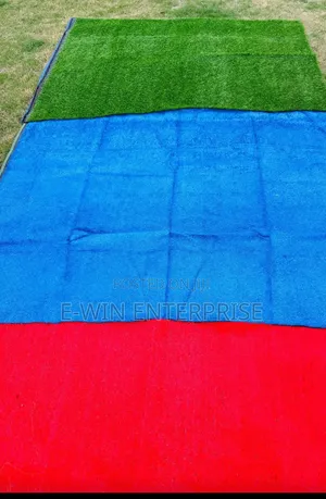 Carpet Grass