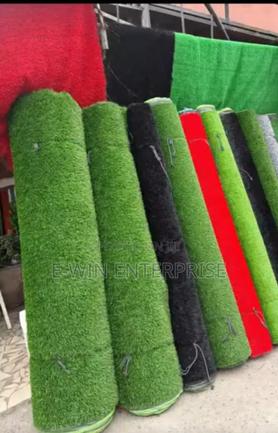 Carpet Grass