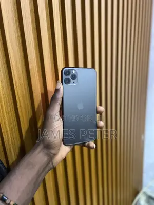 Apple iPhone 11 Pro Max 256 GB Black