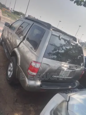 Nissan Pathfinder 2003 Gray